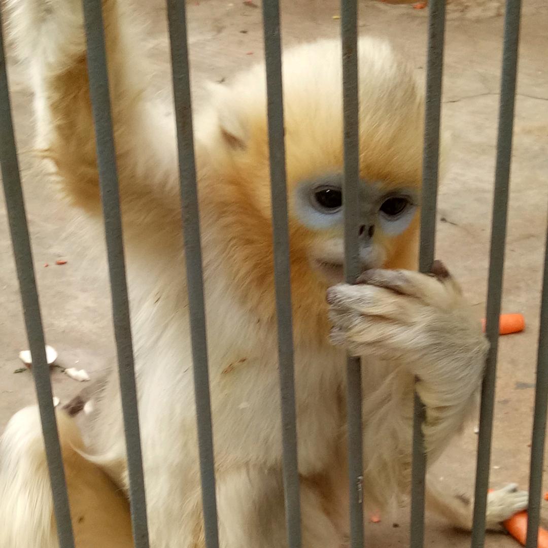 往事清零❤爱恨随意