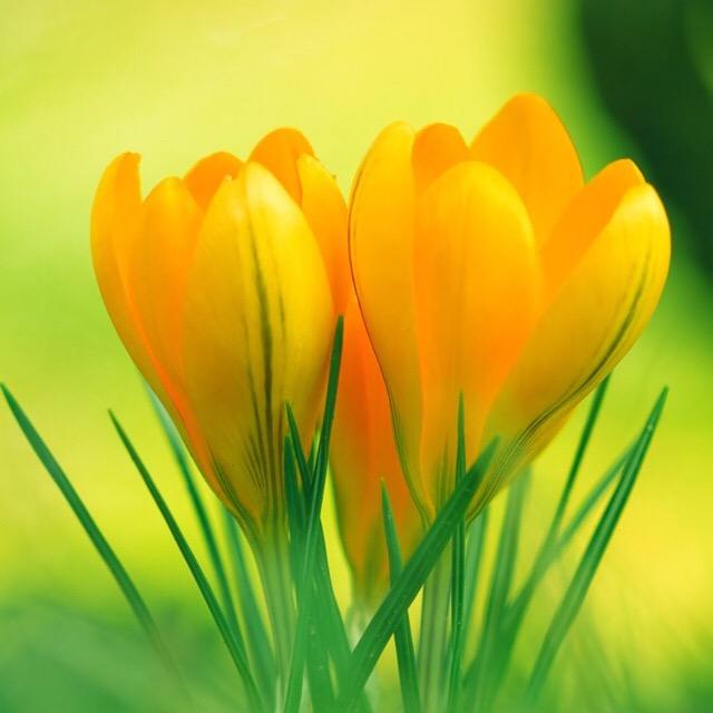 ꧁꫞相💞伴一生꫞꧂