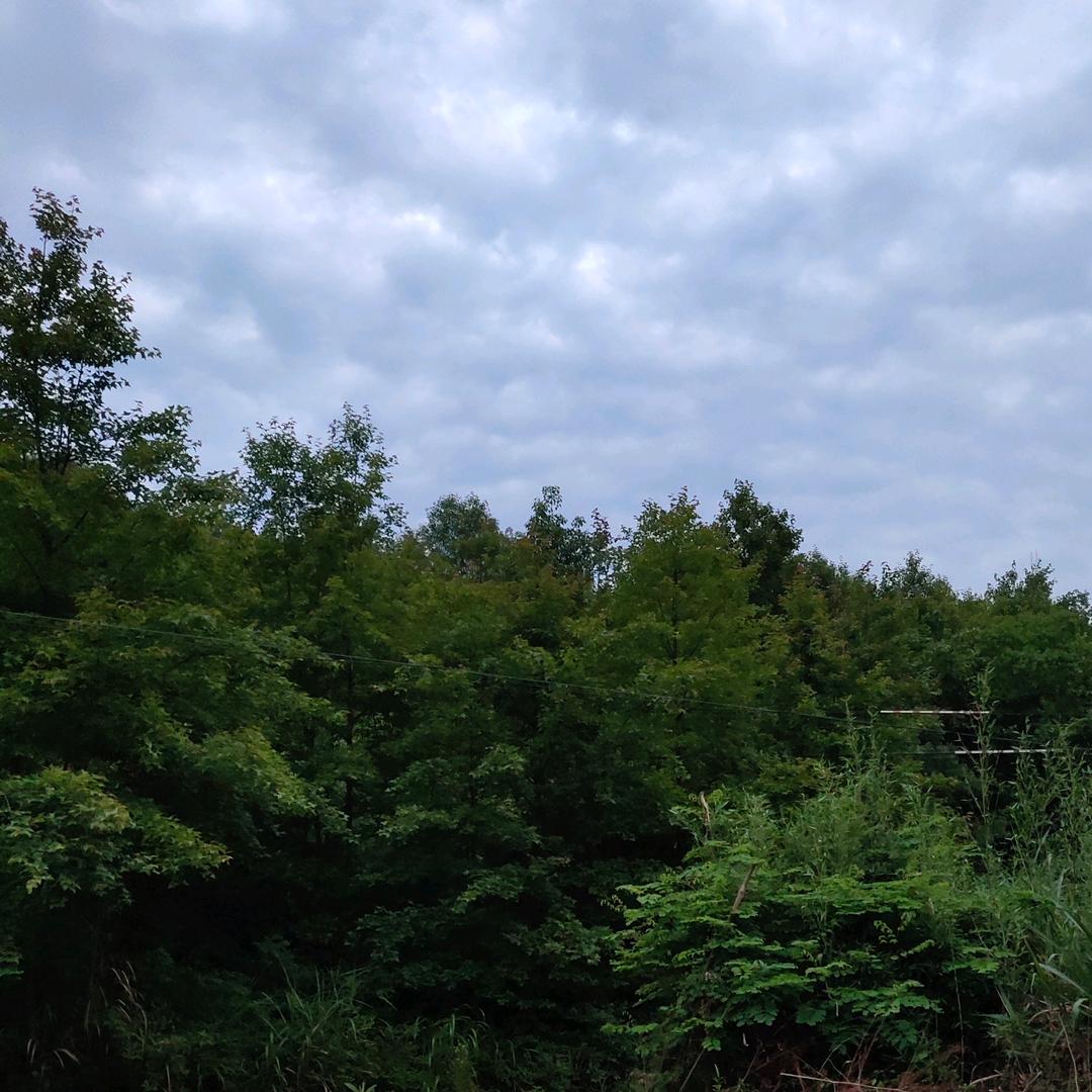 泰兴市塑宝泵业有限公司