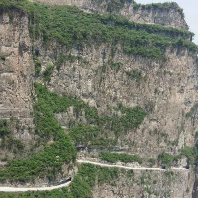 真诚伴永远