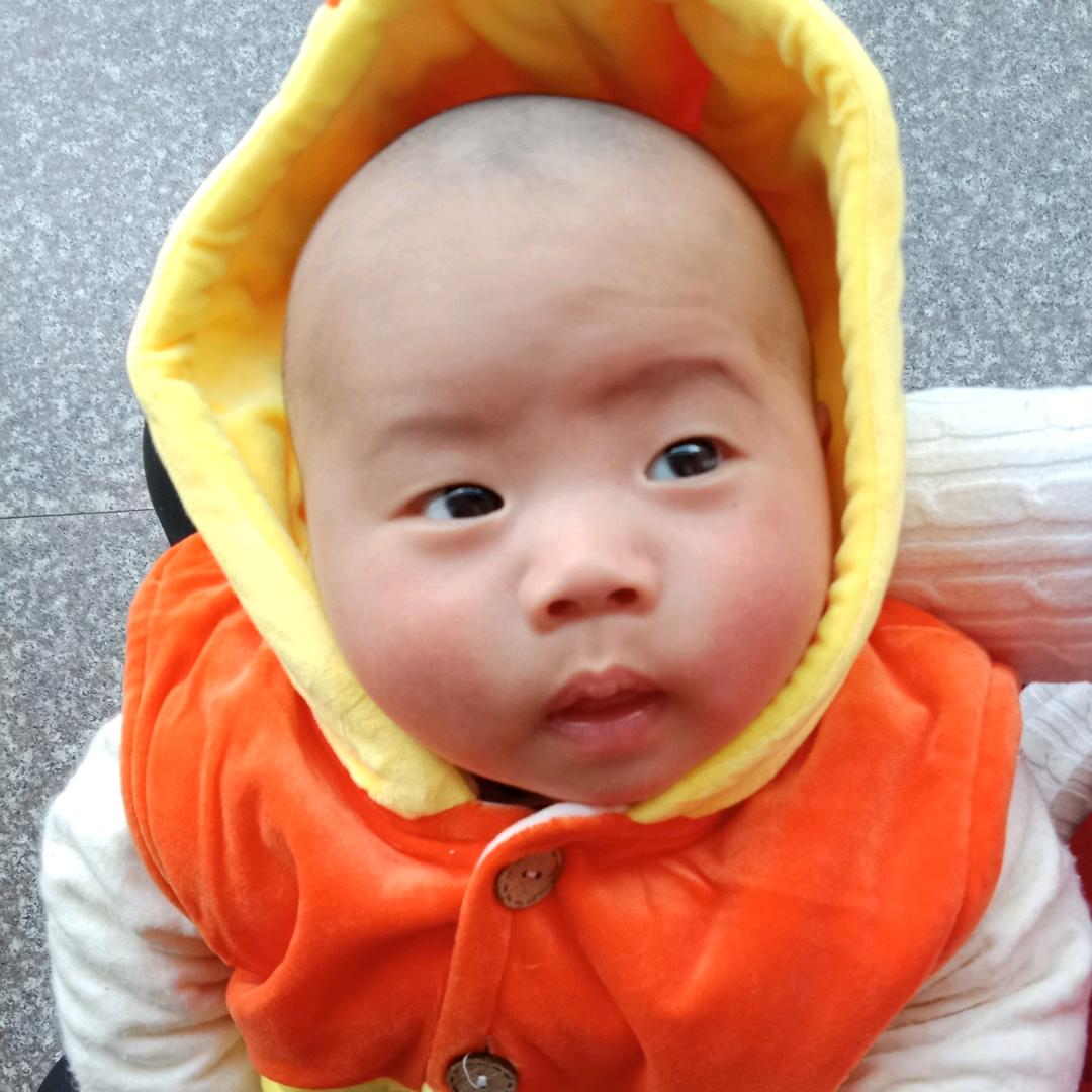 爆脾气的╭(╯ε╰)╮