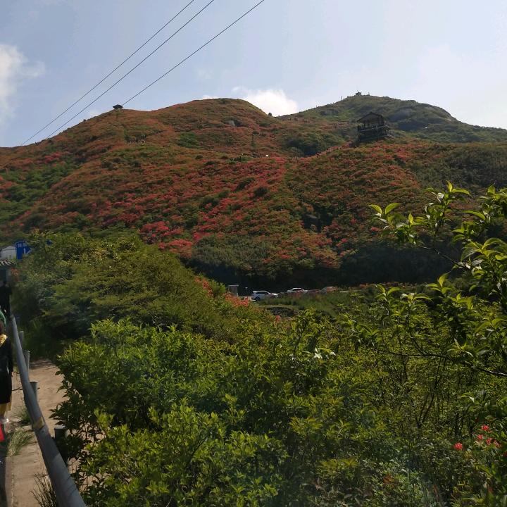 人生如戏，全靠演技