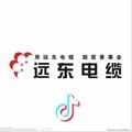 远东线缆一夏熙