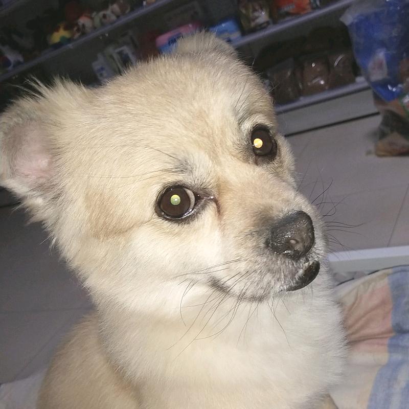 慢慢慢