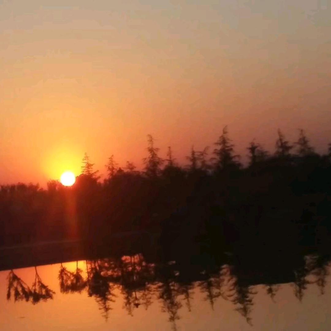 阳光