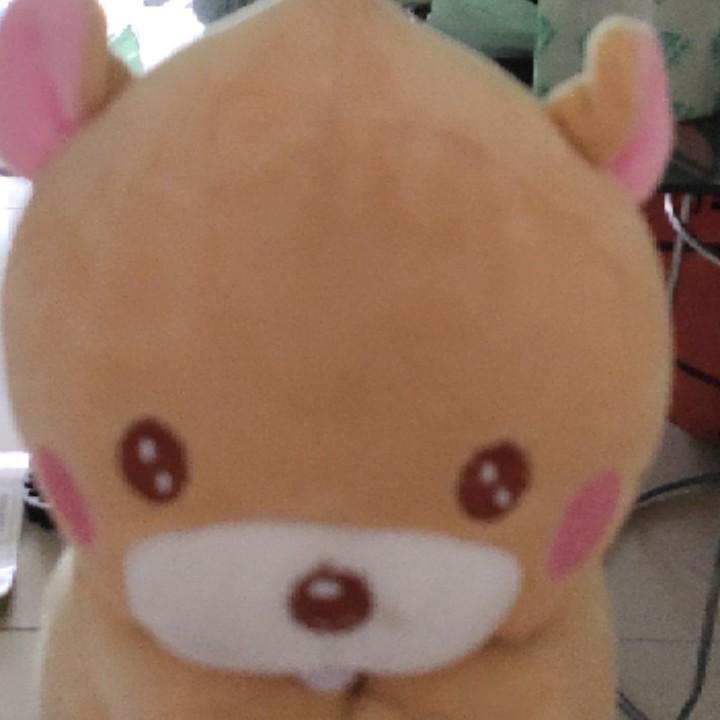 孤