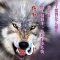 独狼图腾