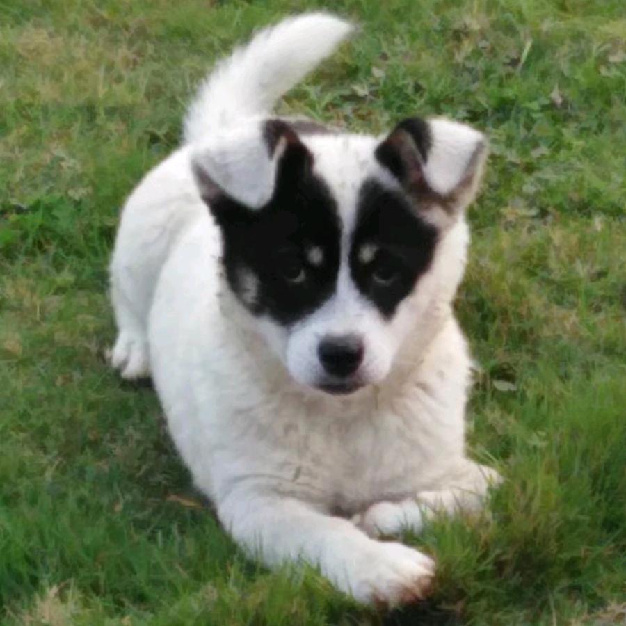 云淡风清之仁者无敌