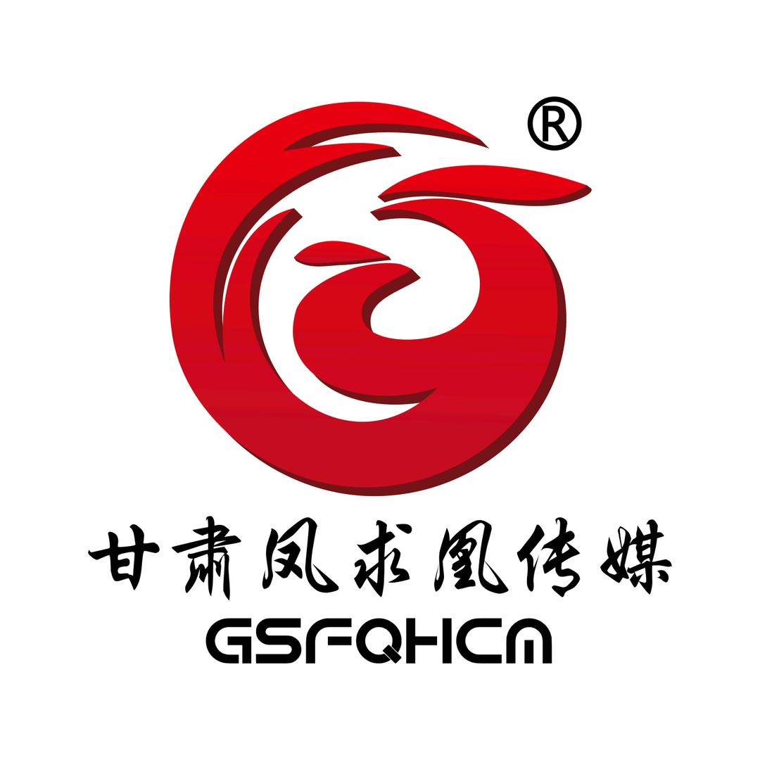 甘肃凤求凰传媒