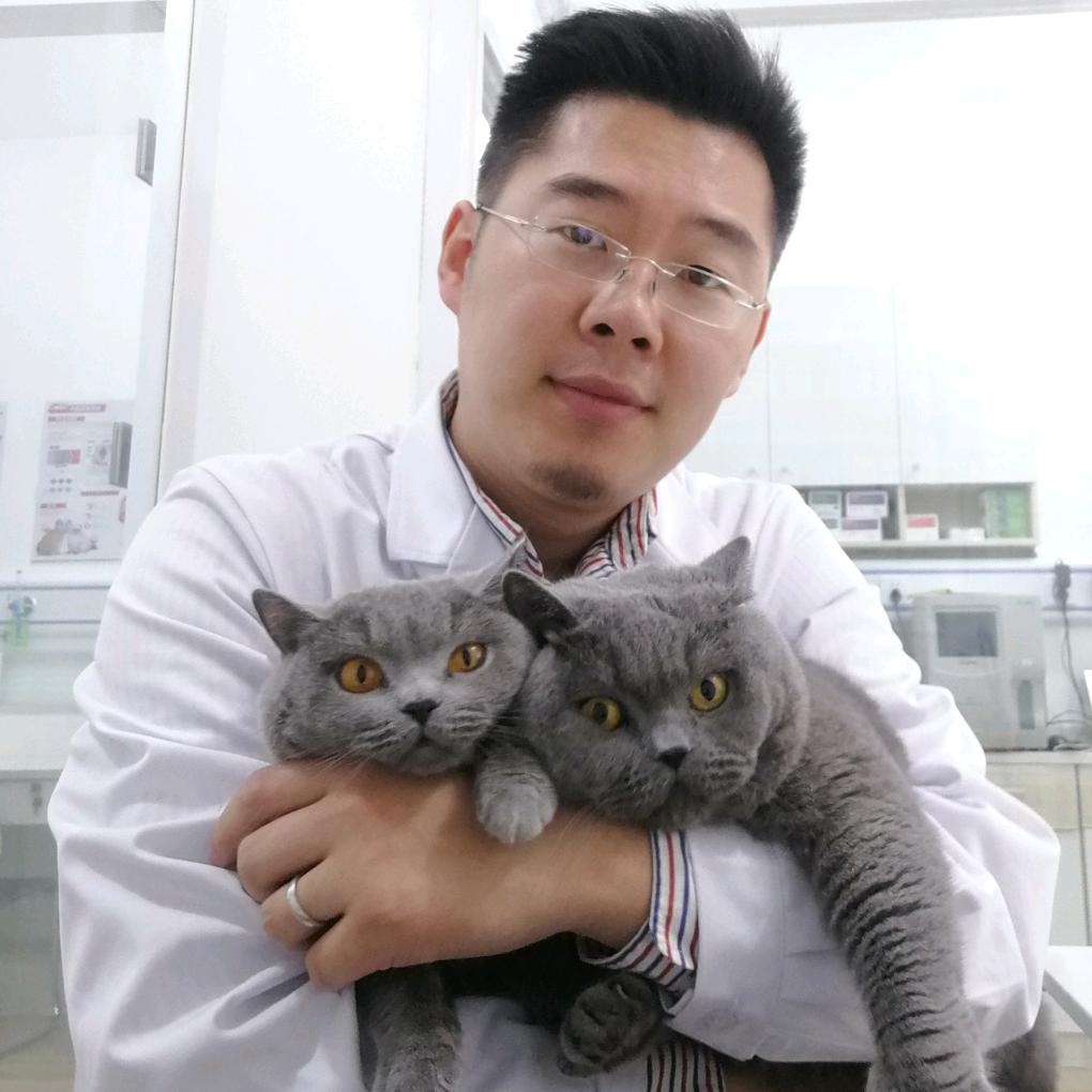 卡哇伊宠物护理科学