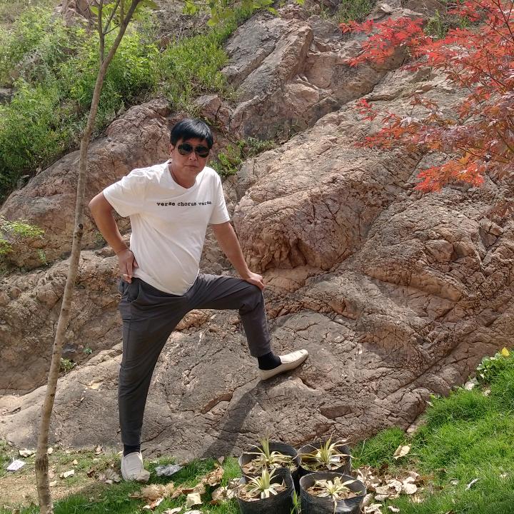 高山雄鹰