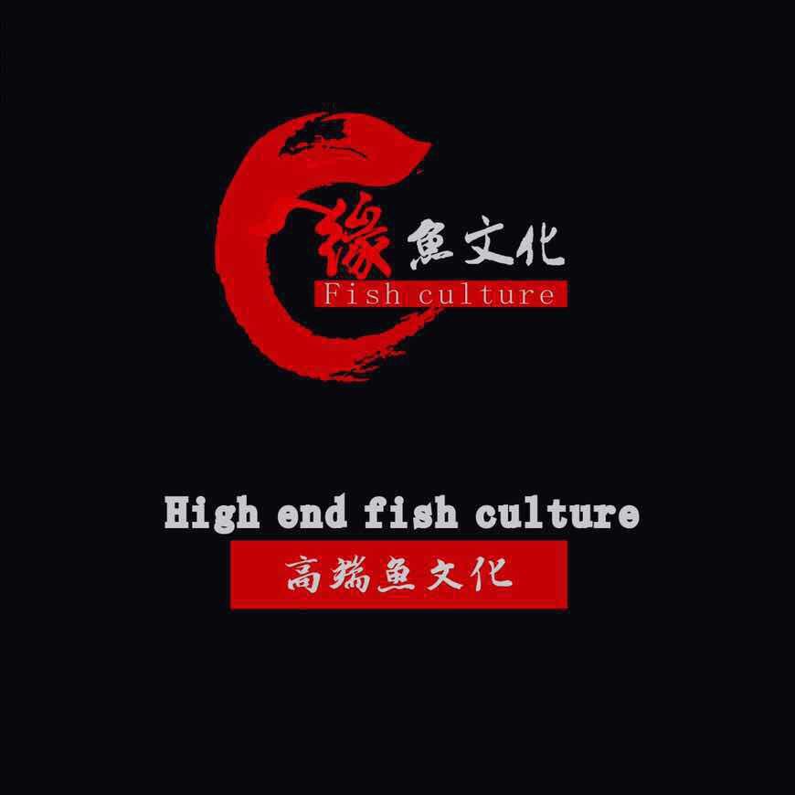 緣鱼文化（中国）