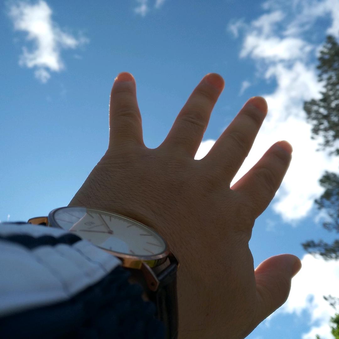 呼啸的阳光872