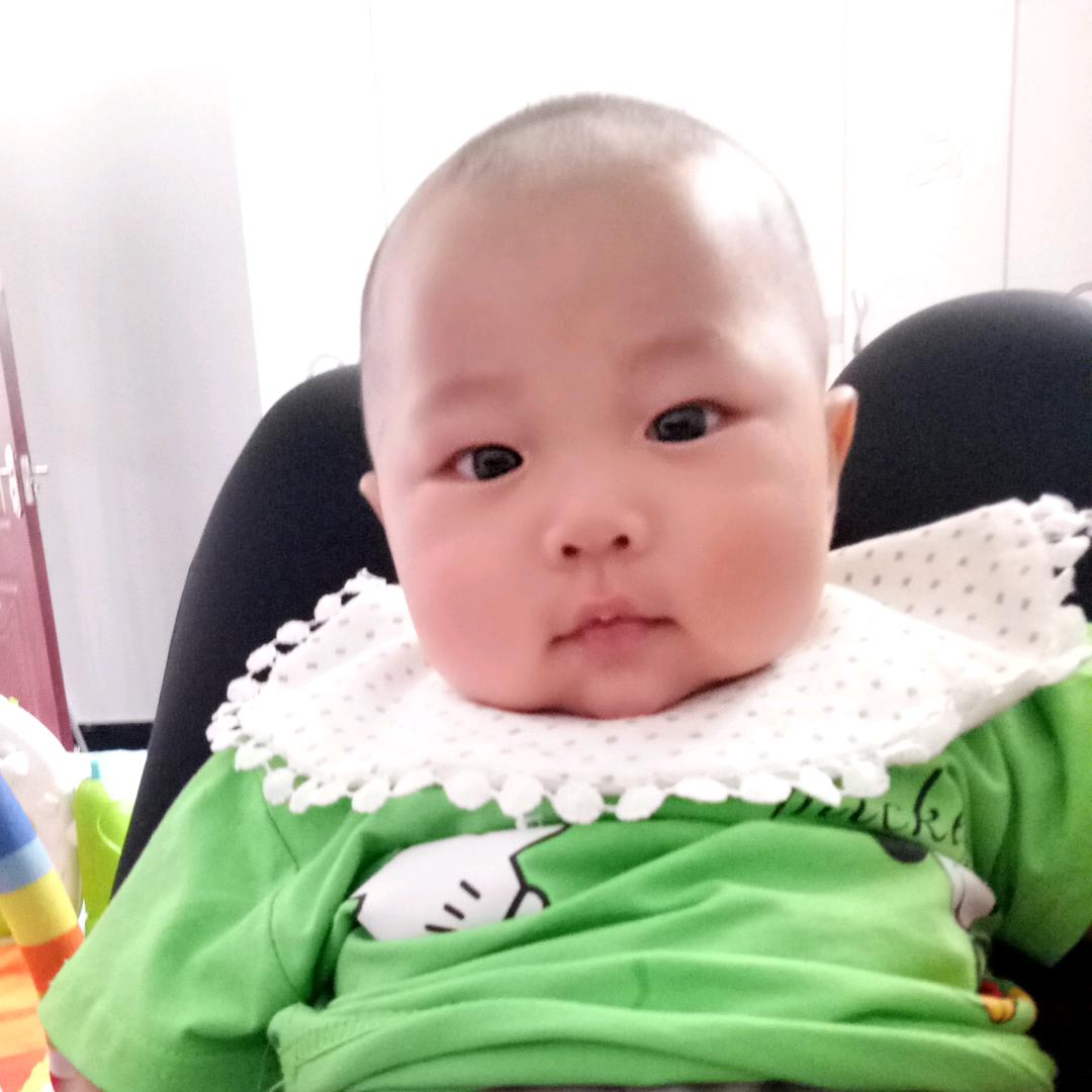 小豪猪