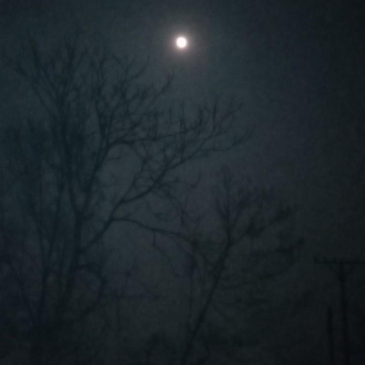 月亮惹得祸