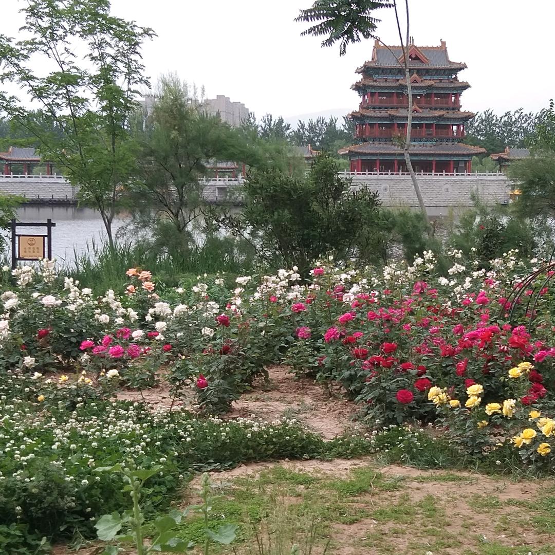 春天