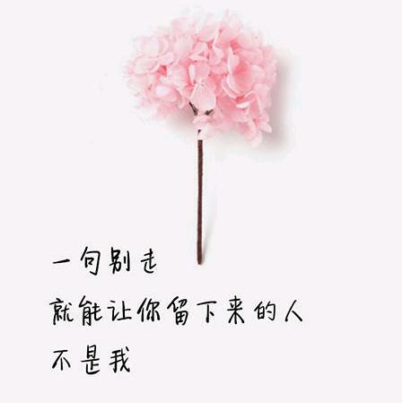 丫头