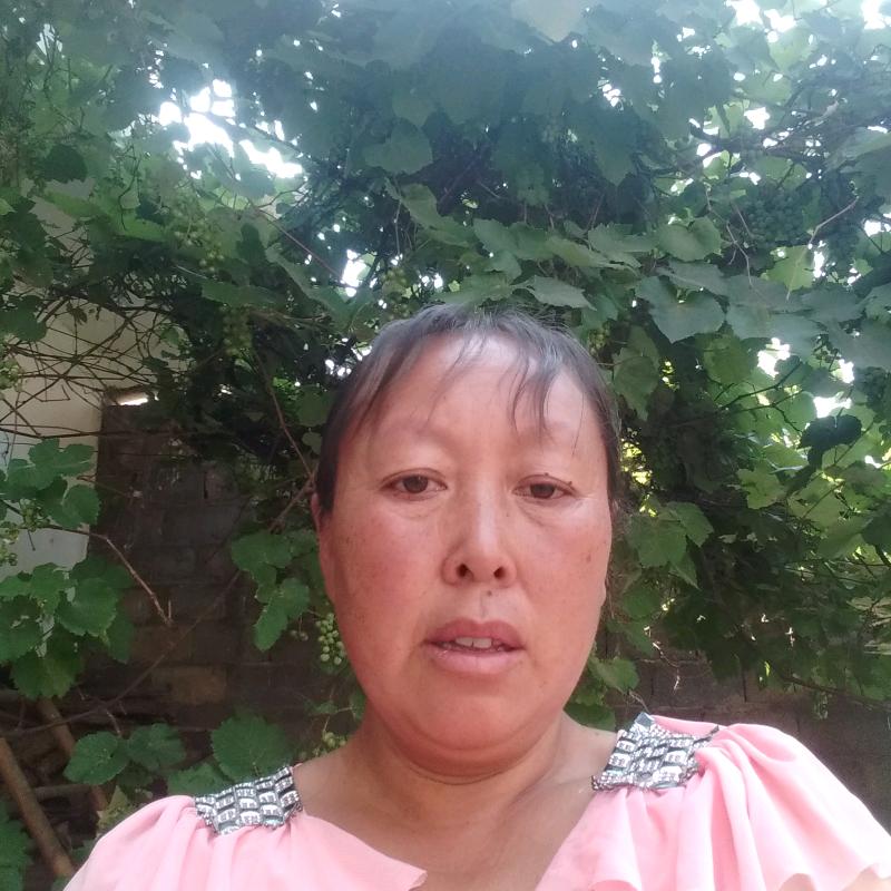 郑福秀