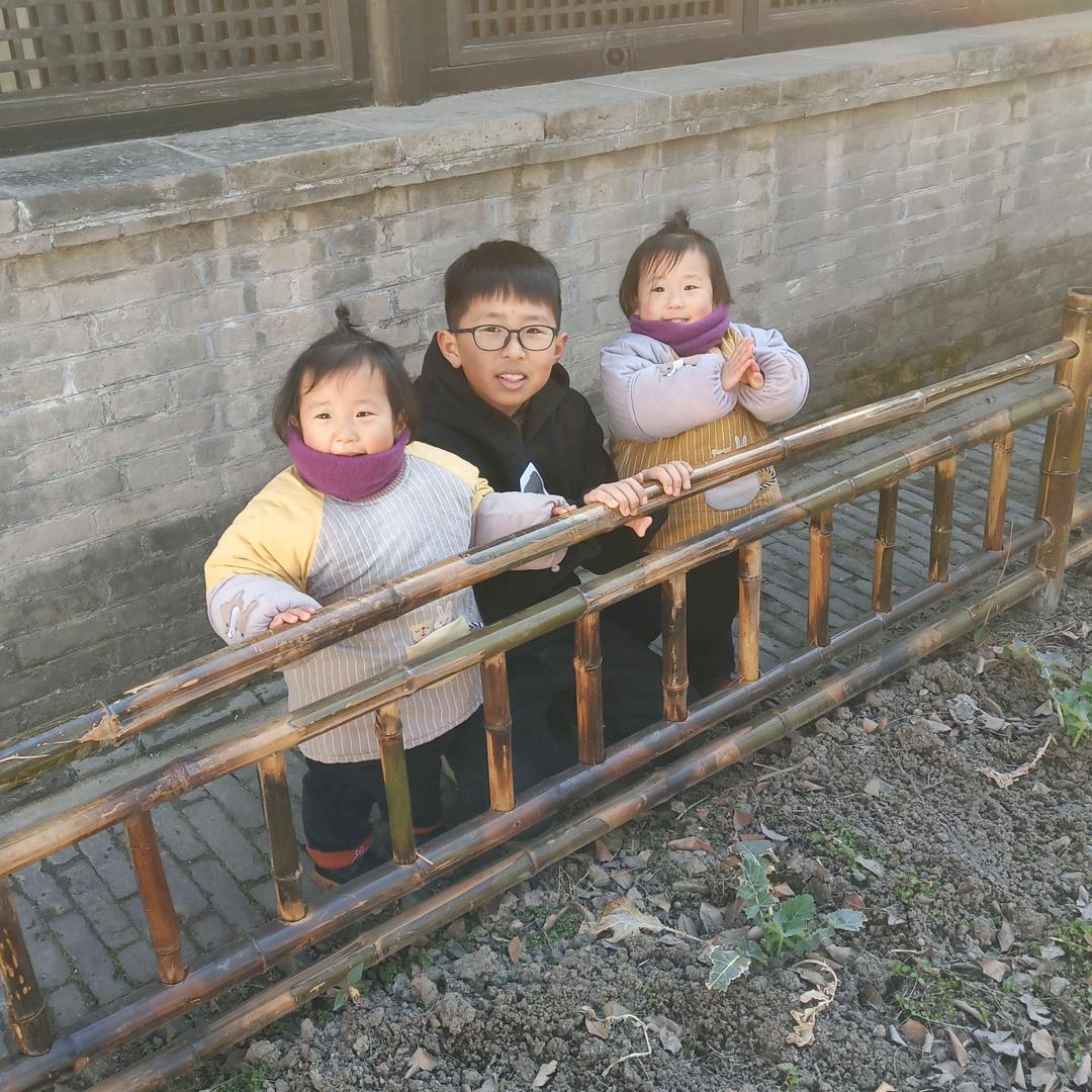 鹿杨文雅