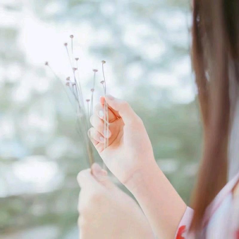 淡泊宁静