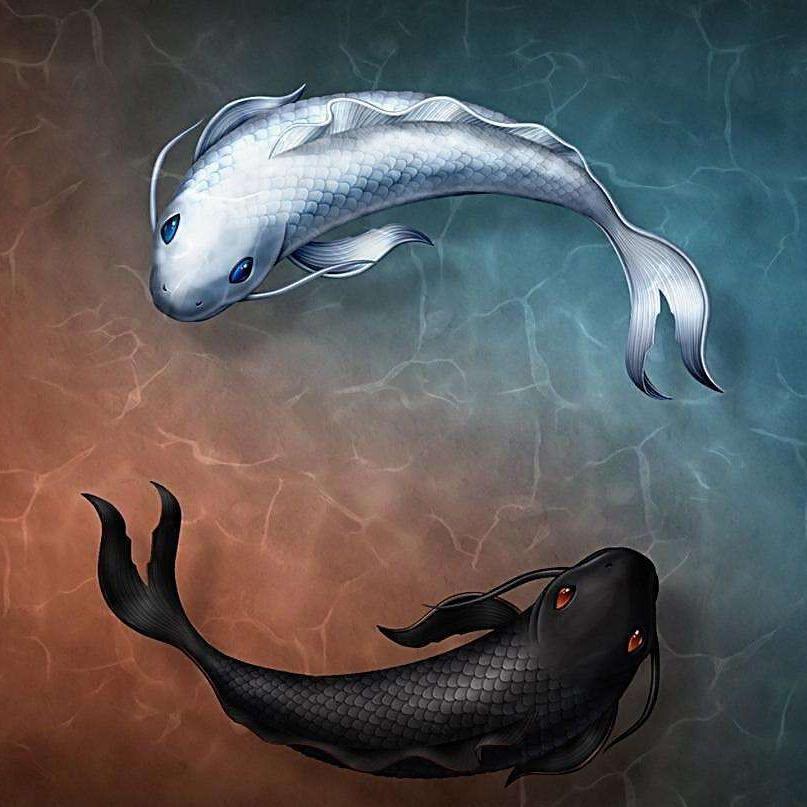 宠物行业老师傅