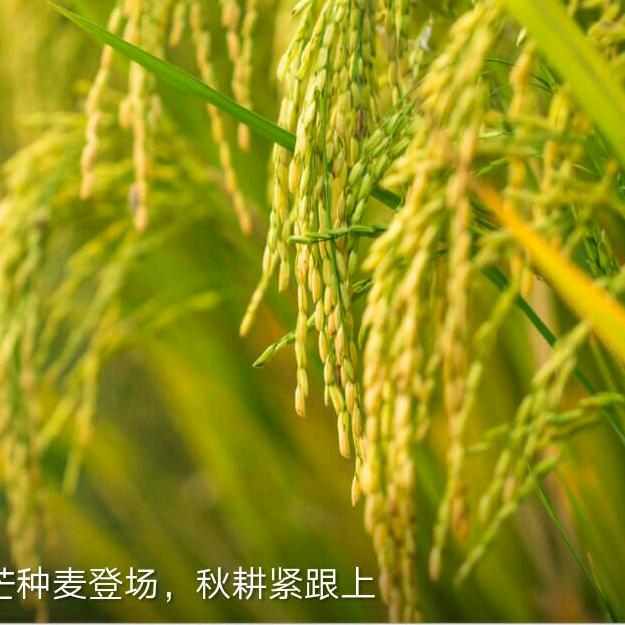 幸福永远（拒绝连赞）