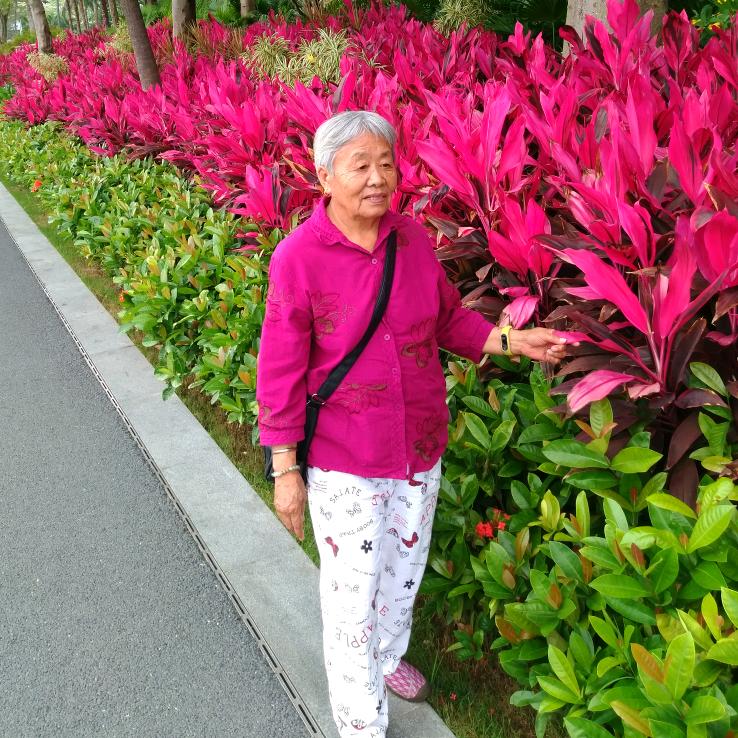 老张