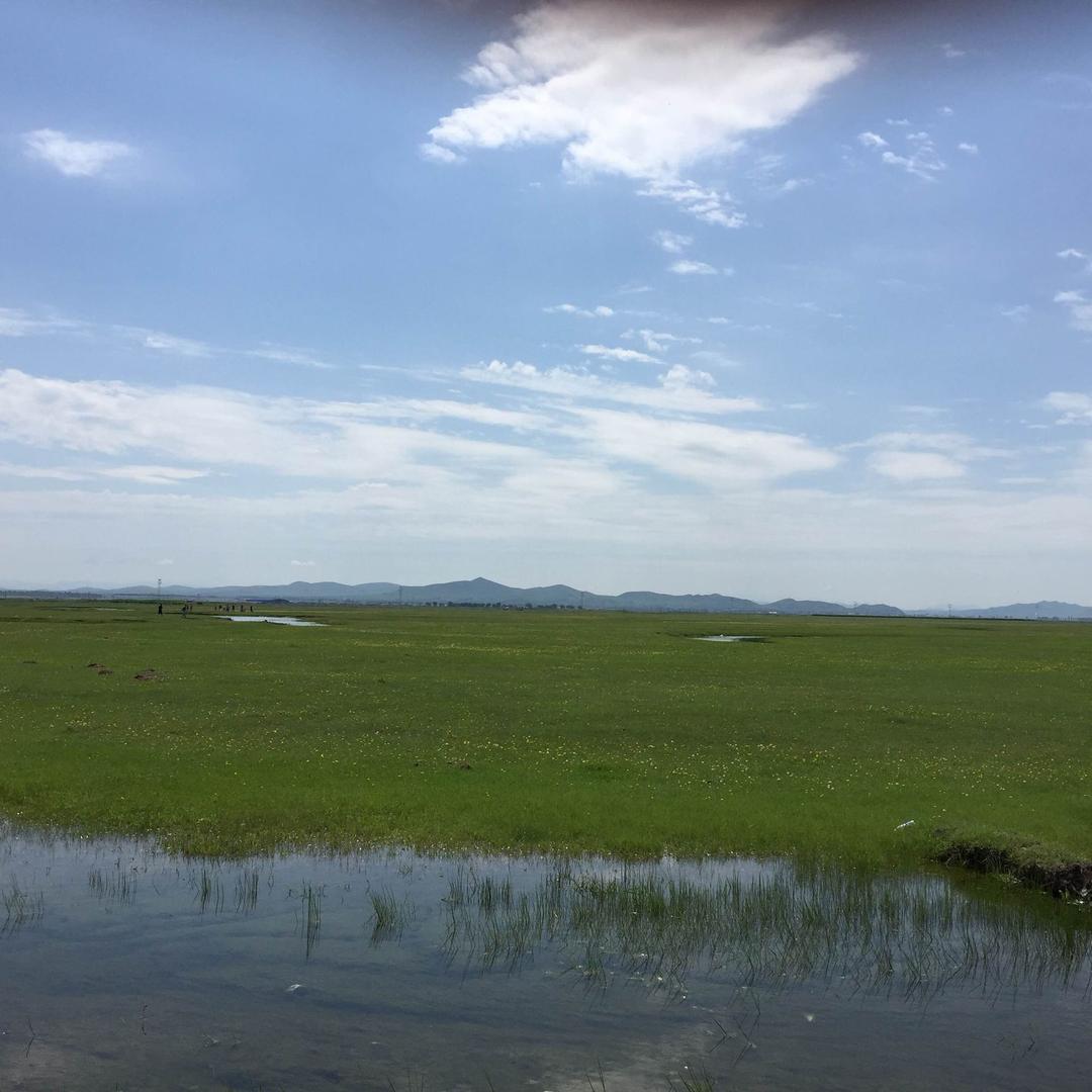 一杯豆浆