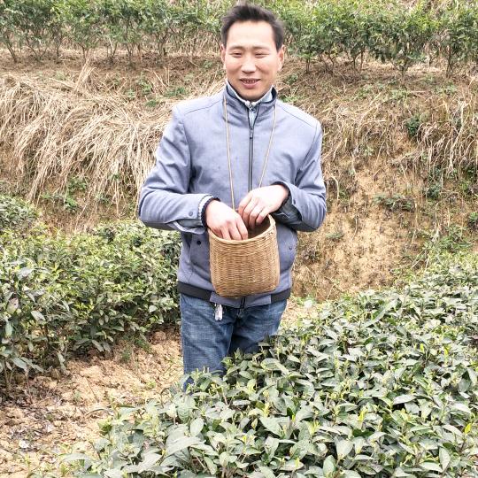 锦绣茶乡
