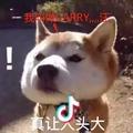 kuku