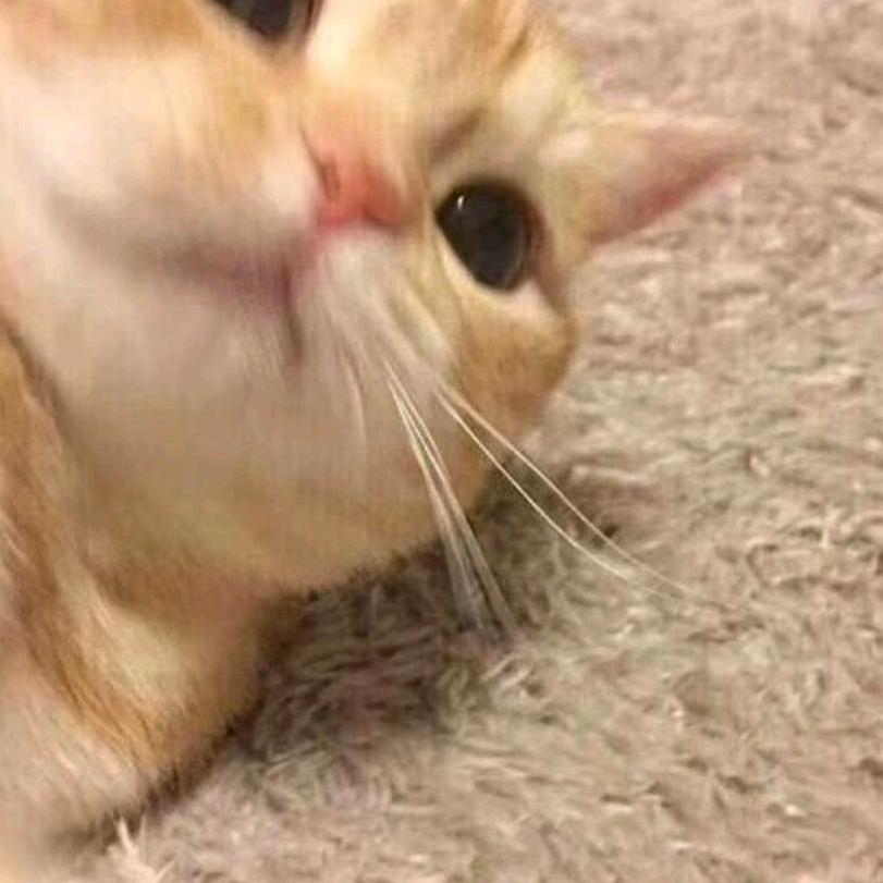 大狼狗
