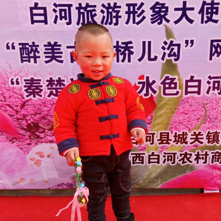 苗宝