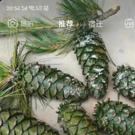 一家福