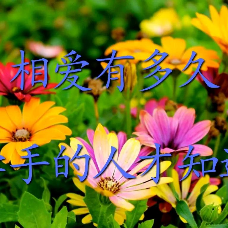 流星雨