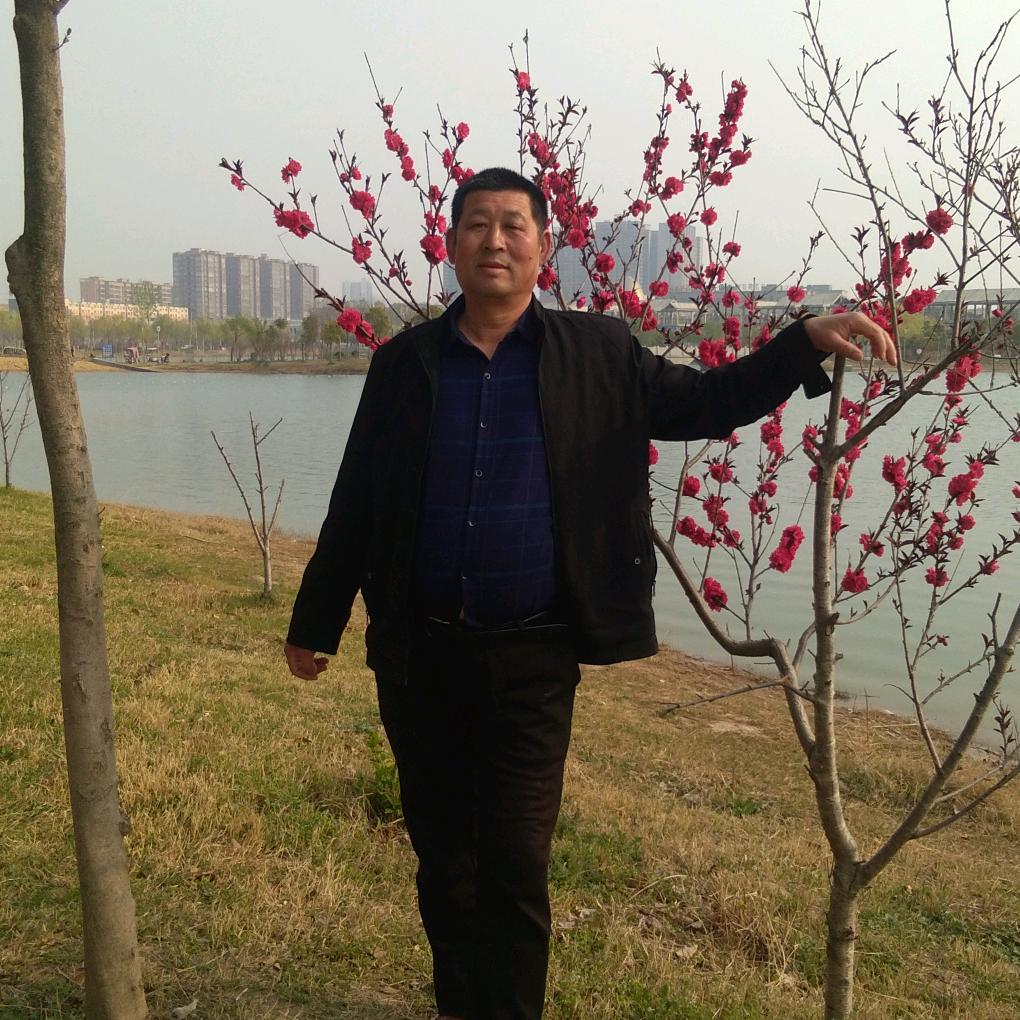 睢县，高家大院