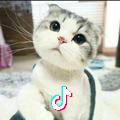 风起云动