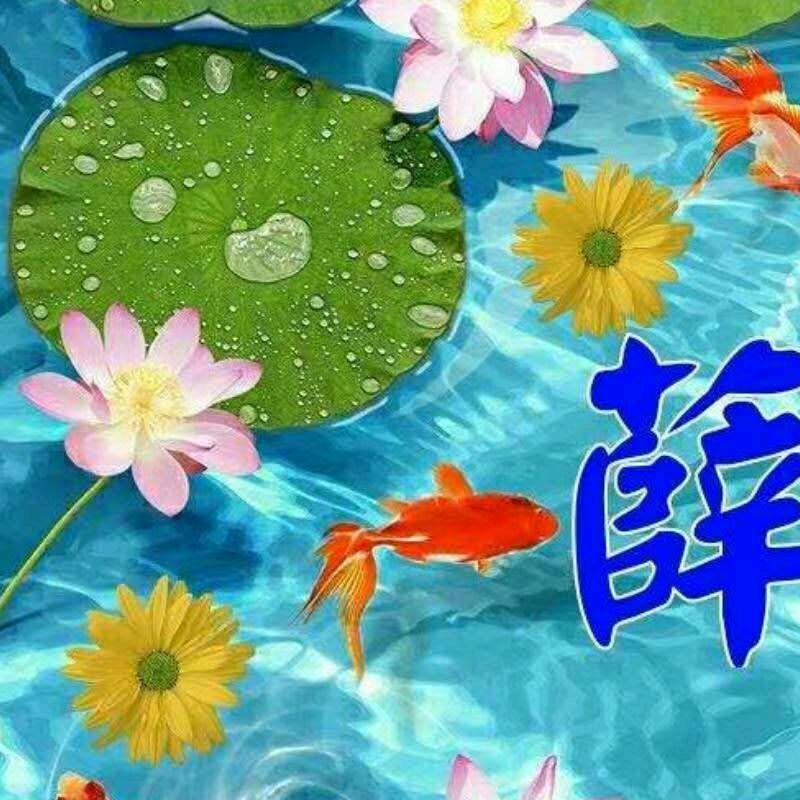 难得糊涂