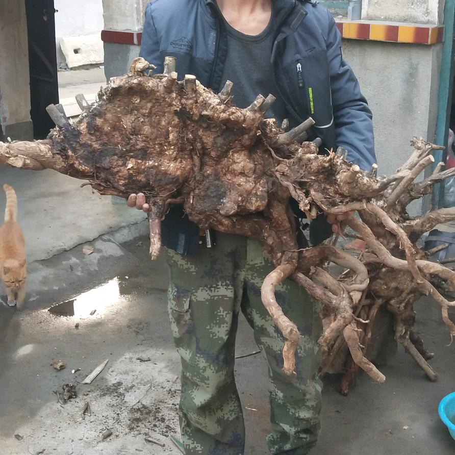 努力前行