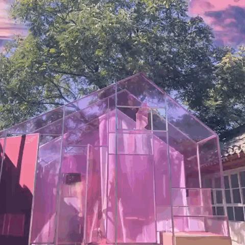 胡萝卜卜