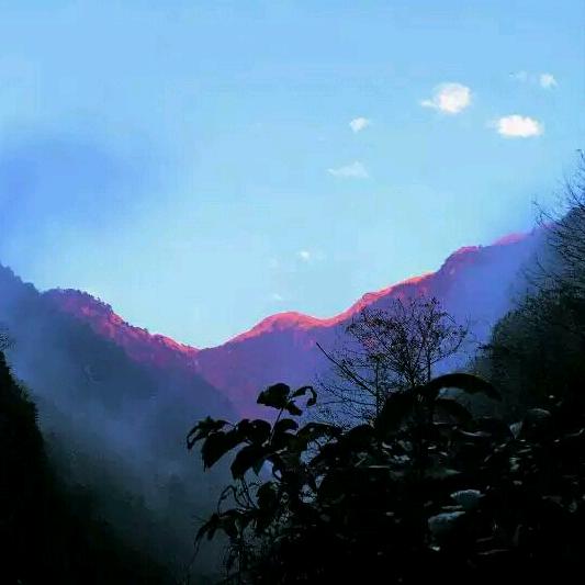 开心的小潮