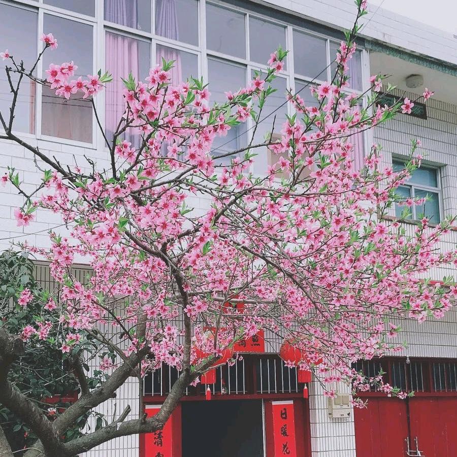 王子睿奶奶👵