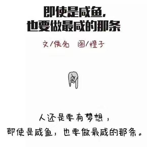 风格