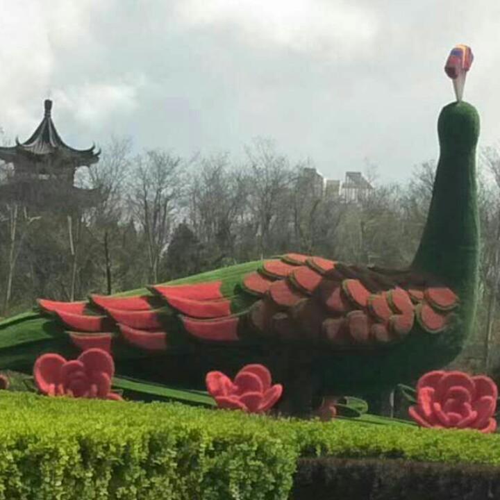 快乐小鱼儿