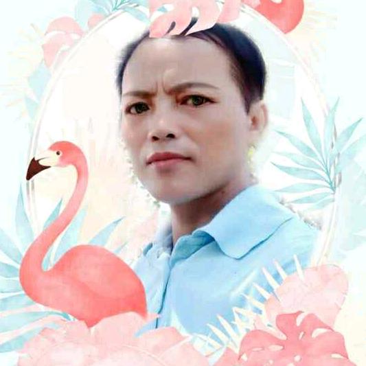 在希望的田野Waie