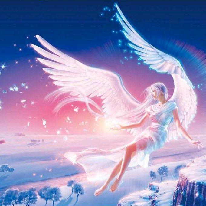 爱你（粉丝一百个抄粉丝名十遍）