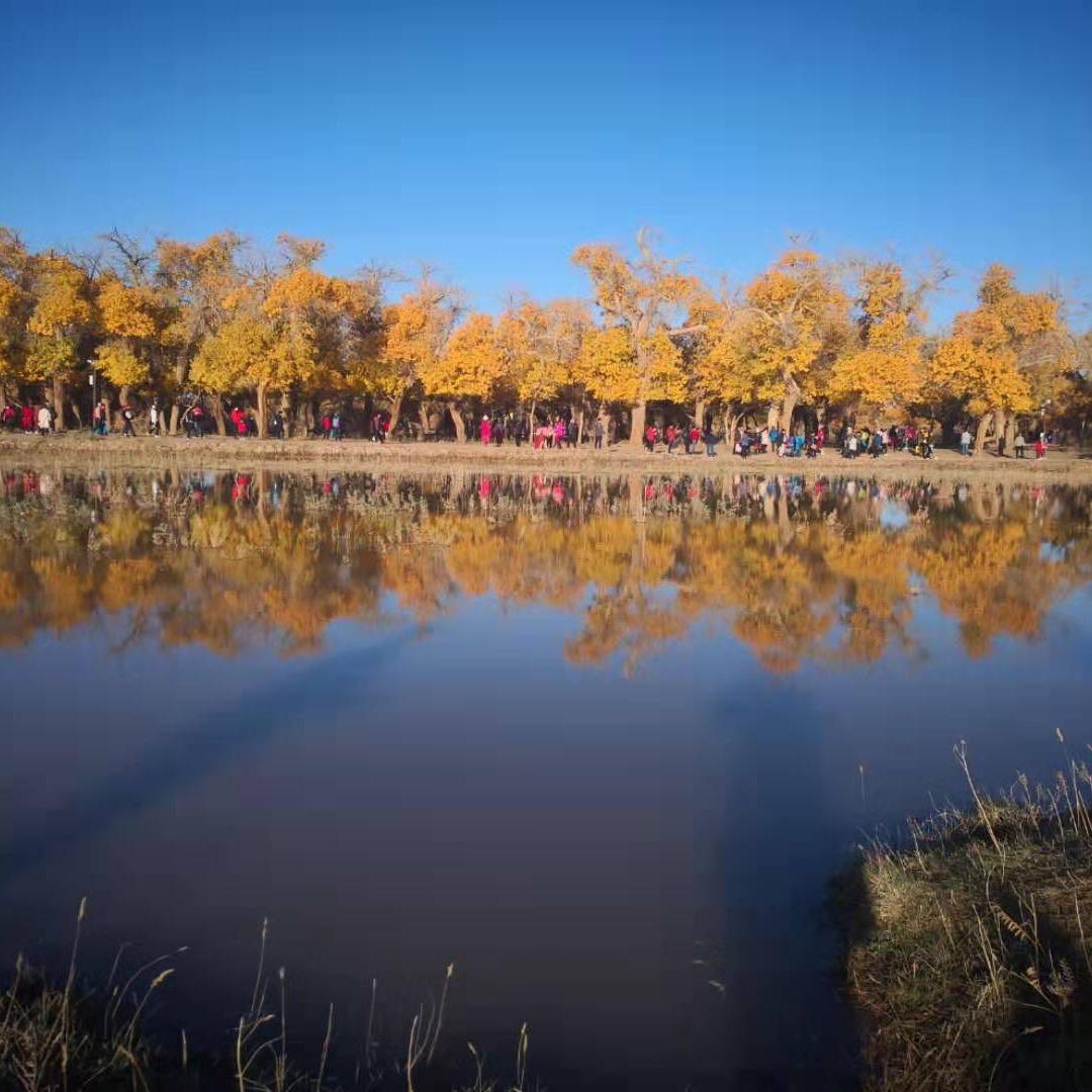 白云一朵，有赞必回