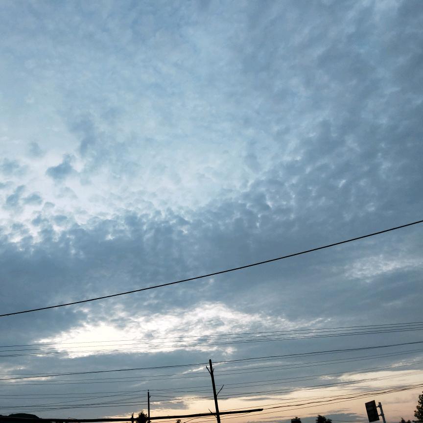 浮萍♥半夏