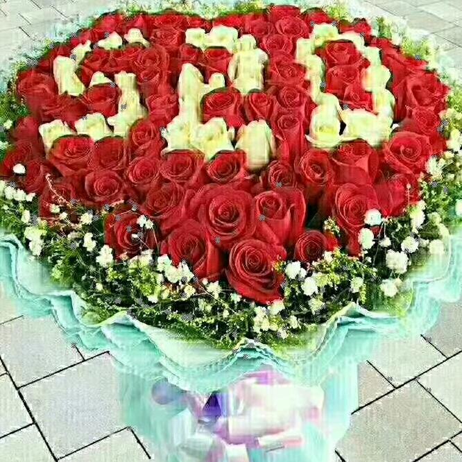 用户张前元～13948005481阿拉善