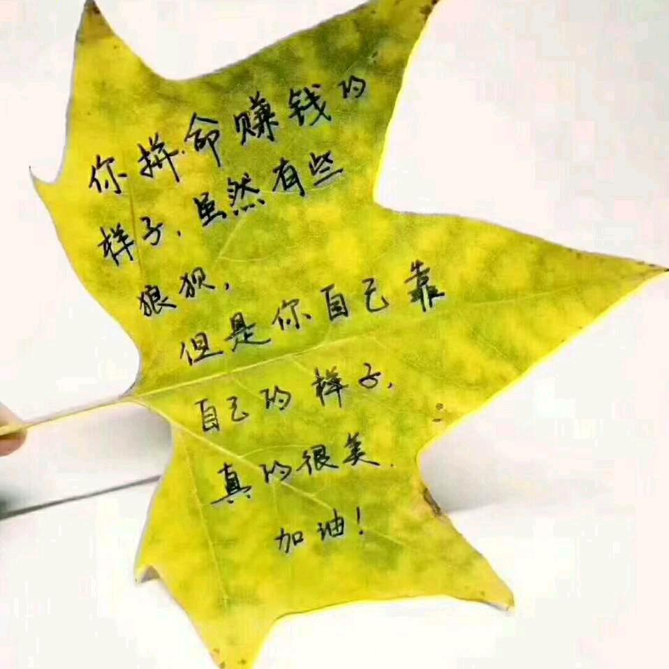 雾蒙蒙