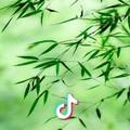 №々人前繁华※人后苍凉